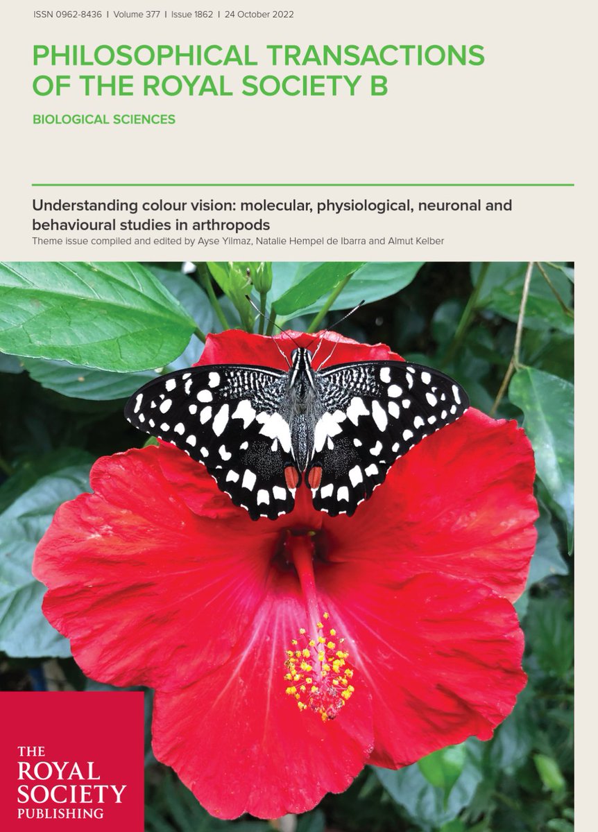 Lund Vision Group tweet media