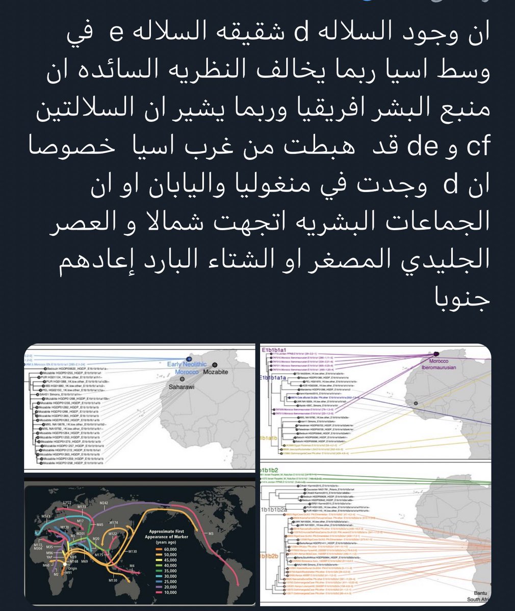 abosalem21's tweet photo. @ZS8525 السلاله RوالسلالهTوL لها خطوط عربيه بل ارجح انه منشأ البشريه اساسن كان في الجزيره العربيه والانقسام للEDوالCFكانت ايضن في الجزيره العربيه لانه فرضيت الخروج من افريقيا مبنيه على نظرية التطور  وحسب النص الديني كله الاقوام والذكر عندي في مثلث اليمن والعراق والشام ومصر ومنها انتشرت https://t.co/f2quOVMdyK