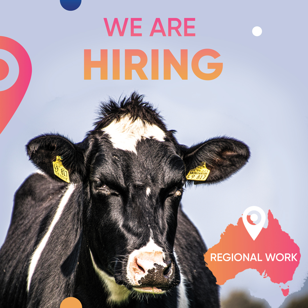 NexVentur (@nexventur) on Twitter photo 🐮 Get your #regionalwork done! 🐮 We have farming work on several dairy farms in Victoria. Accommodation and meals are included. $28 - $30 per hour.
Apply here 👉 bit.ly/nexventur-dair…
Or contact Alan Daly alan@nexventur.com 🐮 Get your #regionalwork done! 🐮 We have farming work on several dairy farms in Victoria. Accommodation and meals are included. $28 - $30 per hour.
Apply here 👉 bit.ly/nexventur-dair…
Or contact Alan Daly alan@nexventur.com