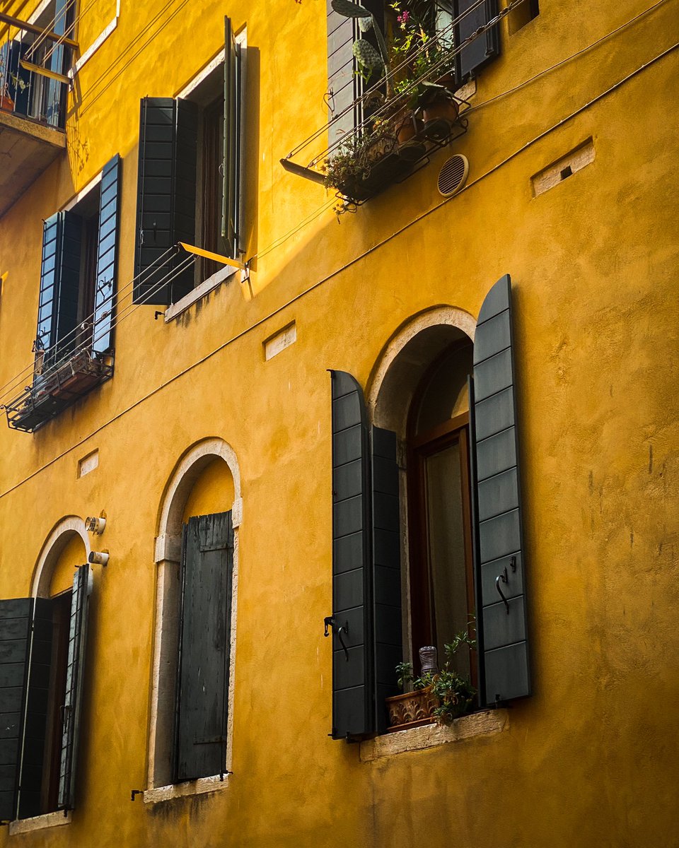 I_am_Rolland's tweet photo. 52mm; ISO 20; f2; 1/450 💛
#venice #veniceitaly #italy #52mm https://t.co/a5J1lVwAEr