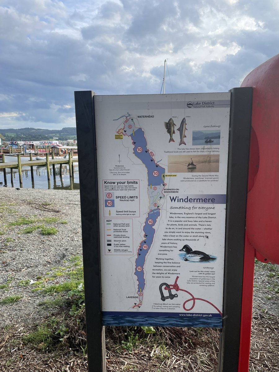 Katy Harrington tweet media