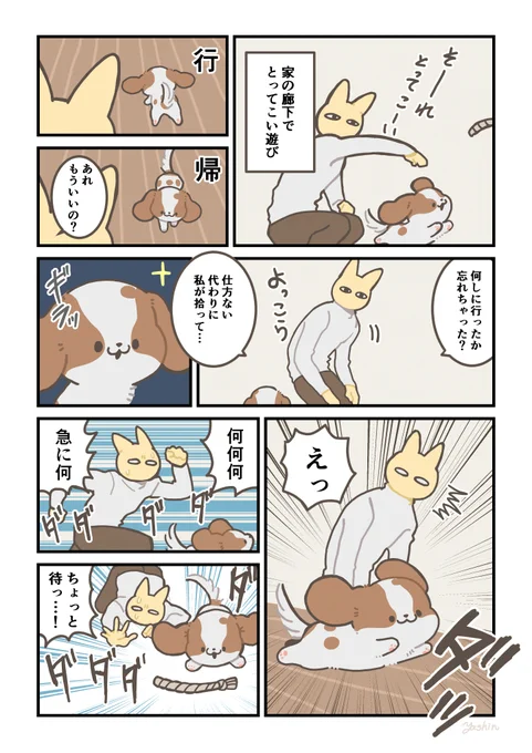 犬日記 とってこい遊びってこんな感じでしたっけ 