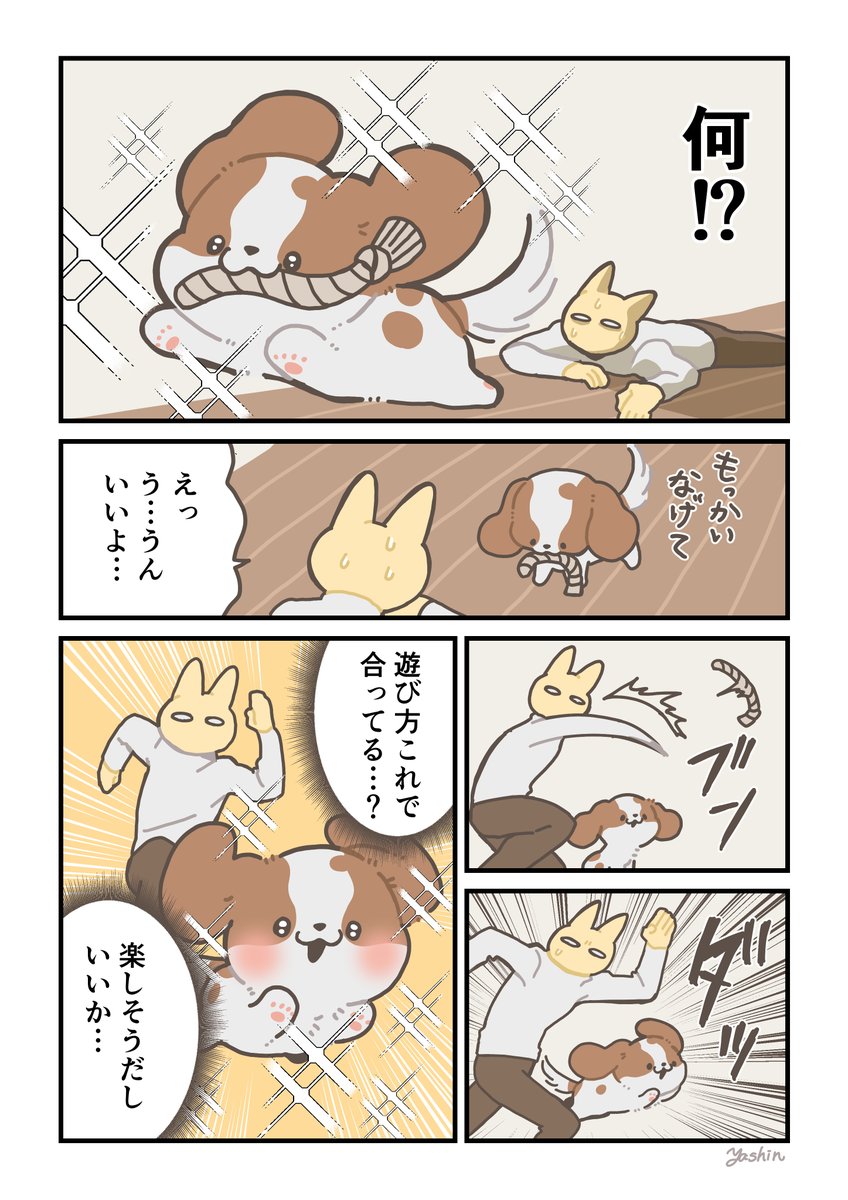 犬日記 とってこい遊びってこんな感じでしたっけ 