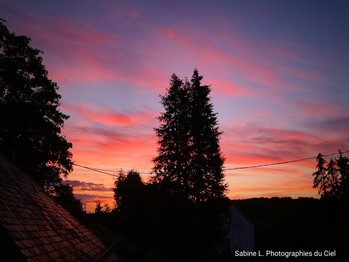 SabineL67's tweet photo. Ciel légèrement voilé ce matin au lever du Soleil !! 
#Birkenwald #Crastatt (67)

#Alsace #BasRhin #Météo #Météo67 https://t.co/UHkKpJ7M73