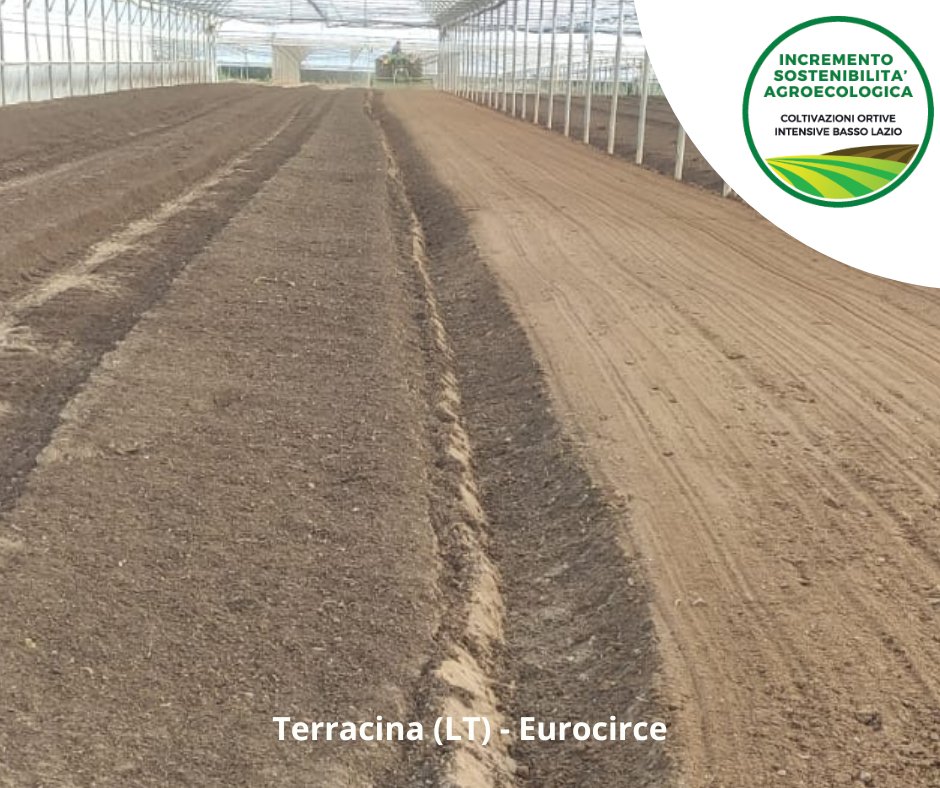 ItaliaOrtofrutt's tweet photo. ✅🌱𝗜𝗻𝗰𝗿𝗲𝗺𝗲𝗻𝘁𝗼 𝗱𝗲𝗹𝗹𝗮 #𝘀𝗼𝘀𝘁𝗲𝗻𝗶𝗯𝗶𝗹𝗶𝘁𝗮̀ 𝗮𝗴𝗿𝗼𝗲𝗰𝗼𝗹𝗼𝗴𝗶𝗰𝗮 𝗱𝗲𝗹 𝗯𝗮𝘀𝘀𝗼 𝗟𝗮𝘇𝗶𝗼:
Alcune fasi della distribuzione di compost da #FORSU effettuato presso l'OP #Eurocirce
Per maggiori dettagli:
👇👇👇
https://t.co/5lLPawh3oK
@CREA_Ricerca https://t.co/Fb2ELqvKm6