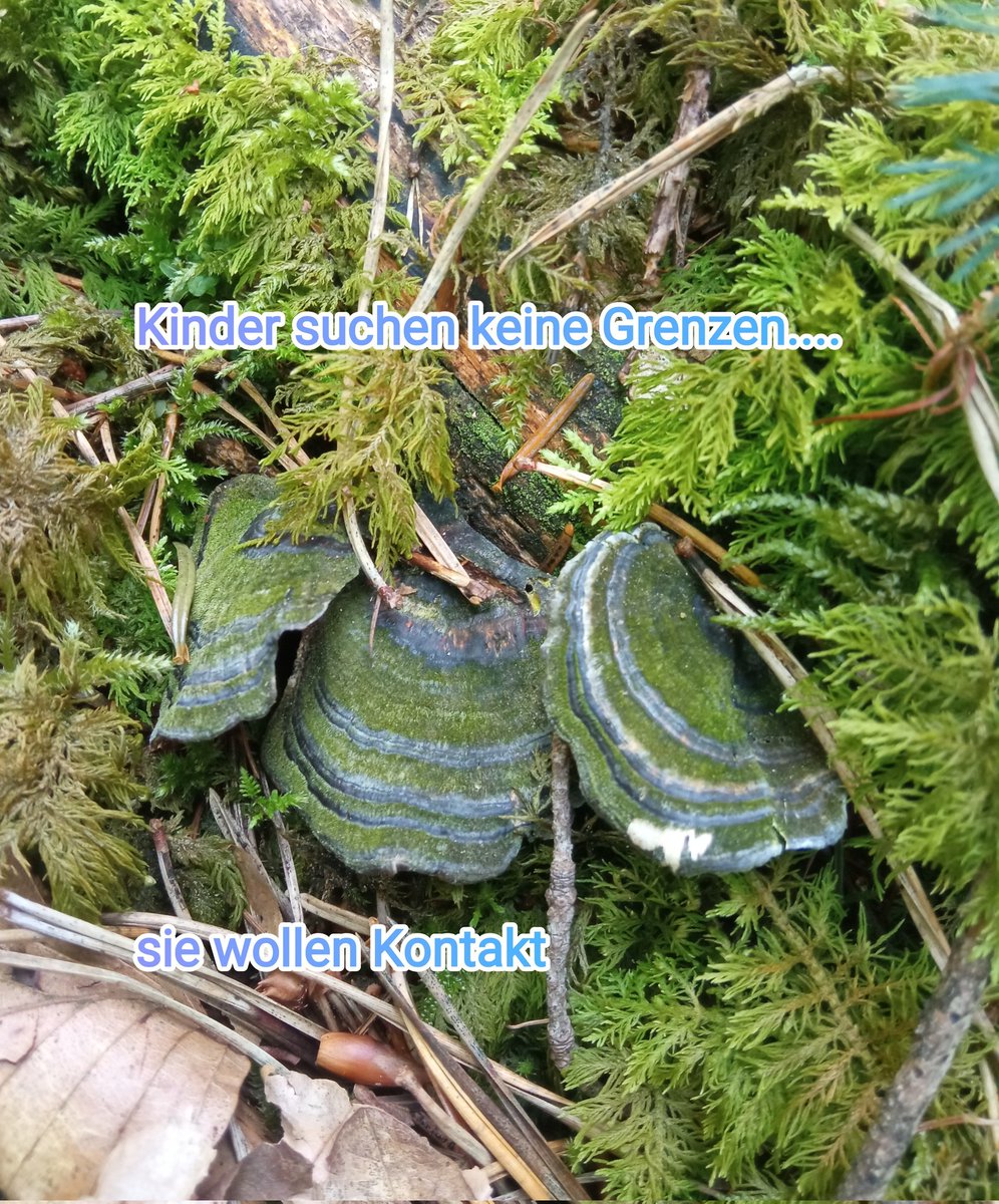 Jule Unterspann (@juleunterspann) on Twitter photo 