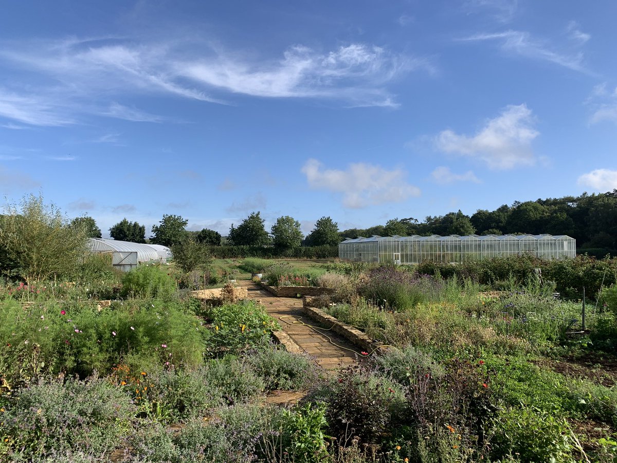 FarmShopOrganic's tweet photo. Calm after the storm, everything has had a wash but Andy and John are keen for more rain for the gardens and farm #Farming #Drought2022 #morerainplease 💦 https://t.co/iF2iUWb2KN
