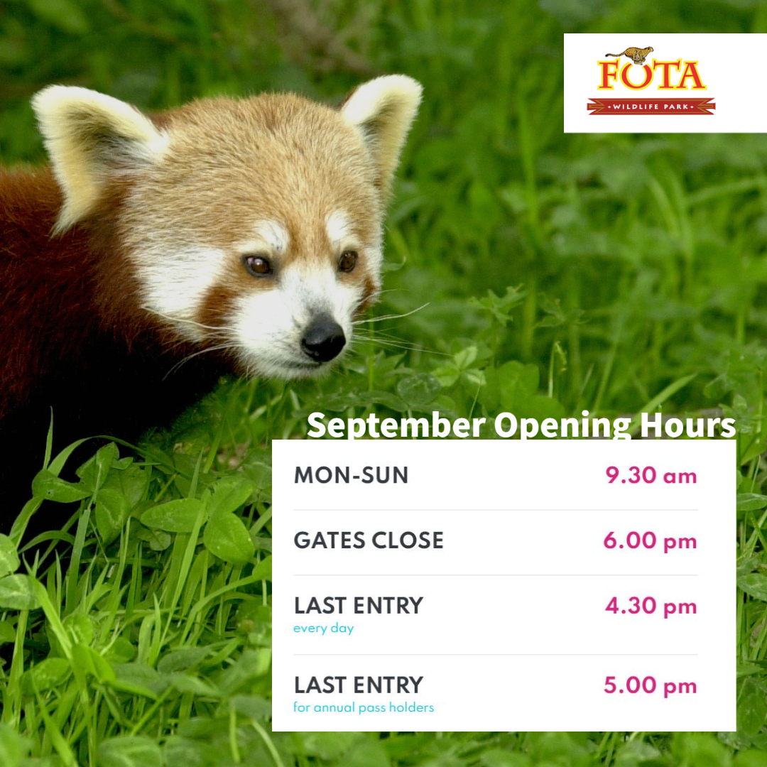 Fota Wildlife Park is now open 9.30 am - 6 pm daily, with last entry 4.30 pm (5 pm for annual pass holders).

Facilities opening hours from 5th September:
• Serengeti Gift Shop: 10 am - close
• Tropical House: 10:30 am - 5 pm
• Madagascan Village: 10:30 am - 5 pm