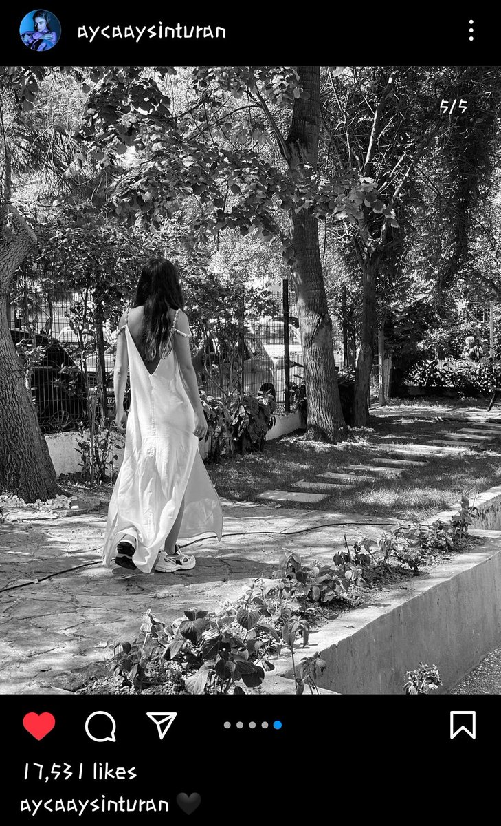MamitaCelestina's tweet photo. Alp as Poyraz once said 'What else can you say in front of this beauty?'. This goddess. 💙
#AyçaAyşinTuran https://t.co/nXxmLglf1V