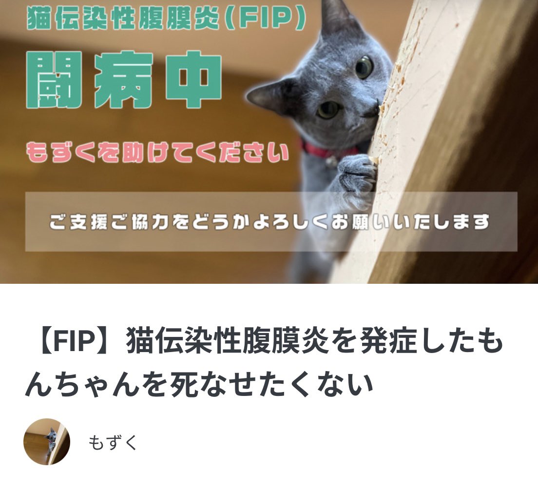 MozukuRescue's tweet image. 7/22から公開になったクラファンも9/19 〜23:00で終了となります。
あと2週間で641,000円ご支援募れなければ
一円も受け取れません。
どうか皆様、もずくは副作用と闘いながら一生懸命生きようとしています。