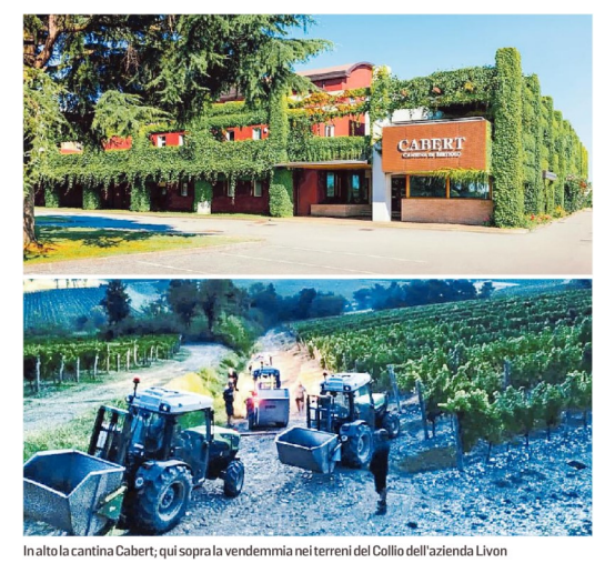 ConfindustriaUd's tweet photo. Corsa per la qualità dei #vini friulani e timori per i rincari | La cantina #Cabert inaugura la #vendemmia 2022 con 14 riconoscimenti al Concorso Internazionale #GilbertGaillard via @messveneto @cescon_maurizio #vino https://t.co/9PMXpckmy2