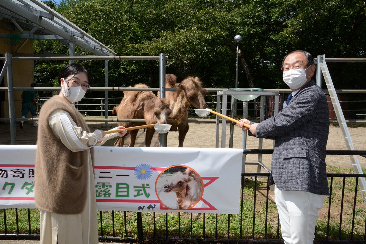 ラクダお披露目式を開催】 市内在住の篤志家のかたの寄付によって先月