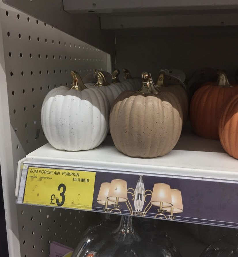 Ryan_Deighton's tweet photo. @bmstores when will these pumpkins be available in all stores? Can’t find them anywhere in my area and been to 6 stores! Photo is from instagram! Please help! https://t.co/8WUldc7rOH