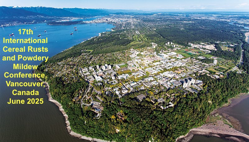 gurcharn_brar's tweet photo. We are excited to announce that the next (17th) International Cereal Rusts &amp; Powdery Mildew Conference (ICRPMC) will be held at beautiful The University of British Columbia @UBC campus (👇) in June 2025 in @CityofVancouver CANADA.

Mark your calendars already! https://t.co/jfZUtiAZSV