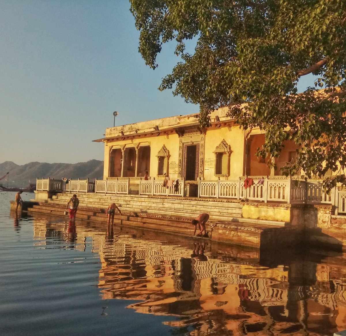 lemiride's tweet photo. Place of the day! 

Ambrai Ghat, Udaipur, Rajasthan ✨

Credits - @sandeepa 

#India #Rajasthan https://t.co/TGeWfC3joM