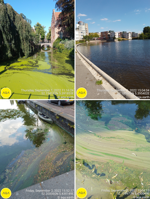 Looking back at a great surface water sampling week at Amersfoort. I'm surprised by its green and water rich areas. Unfortunately, we also found excessive growth of water plants and dangerously high blue-green algae concentrations. Now geo-mapping...
aqa.earth
