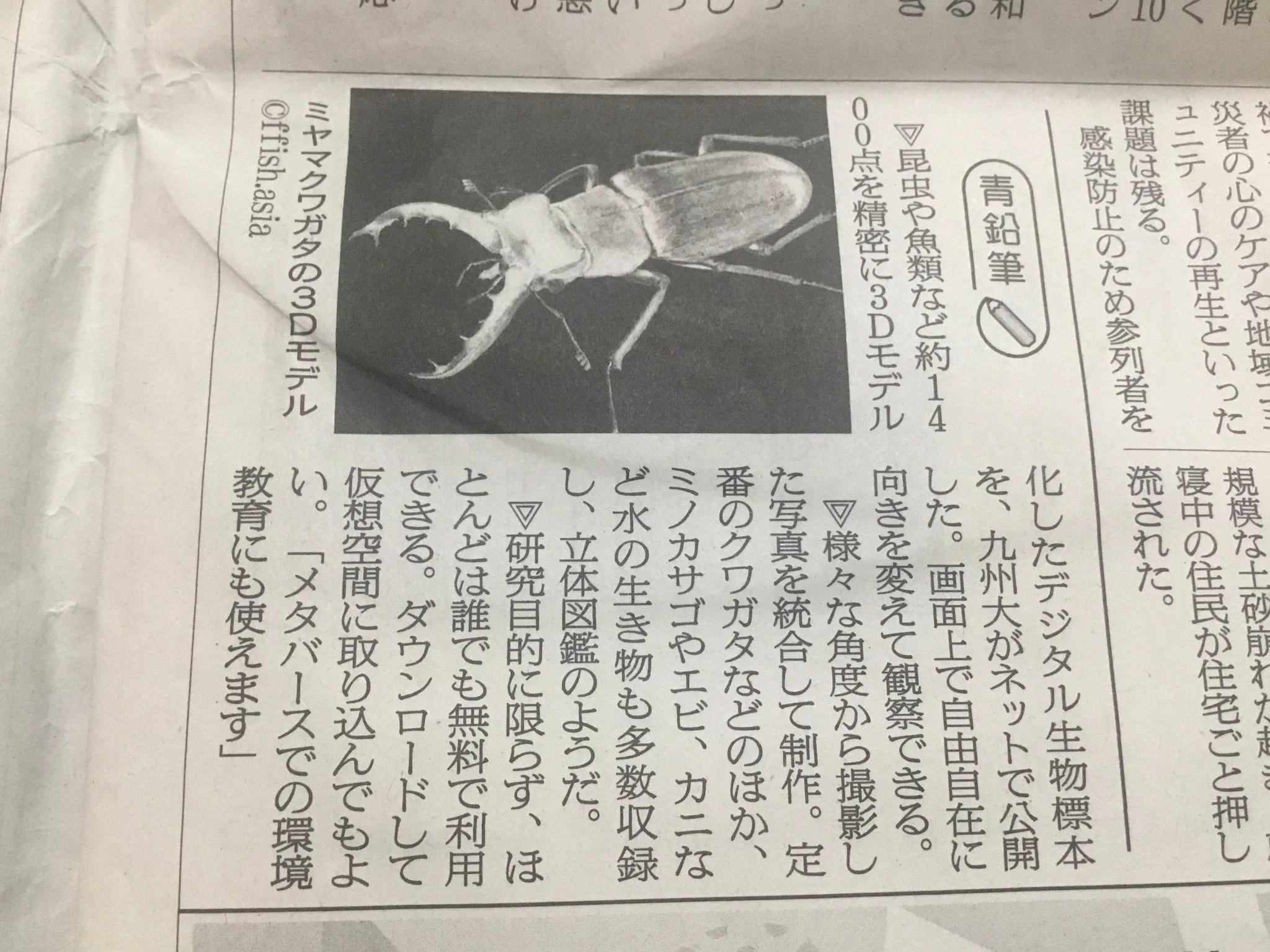 @tobalog 失礼します。きのう９月４日の朝日新聞に出ていました。 