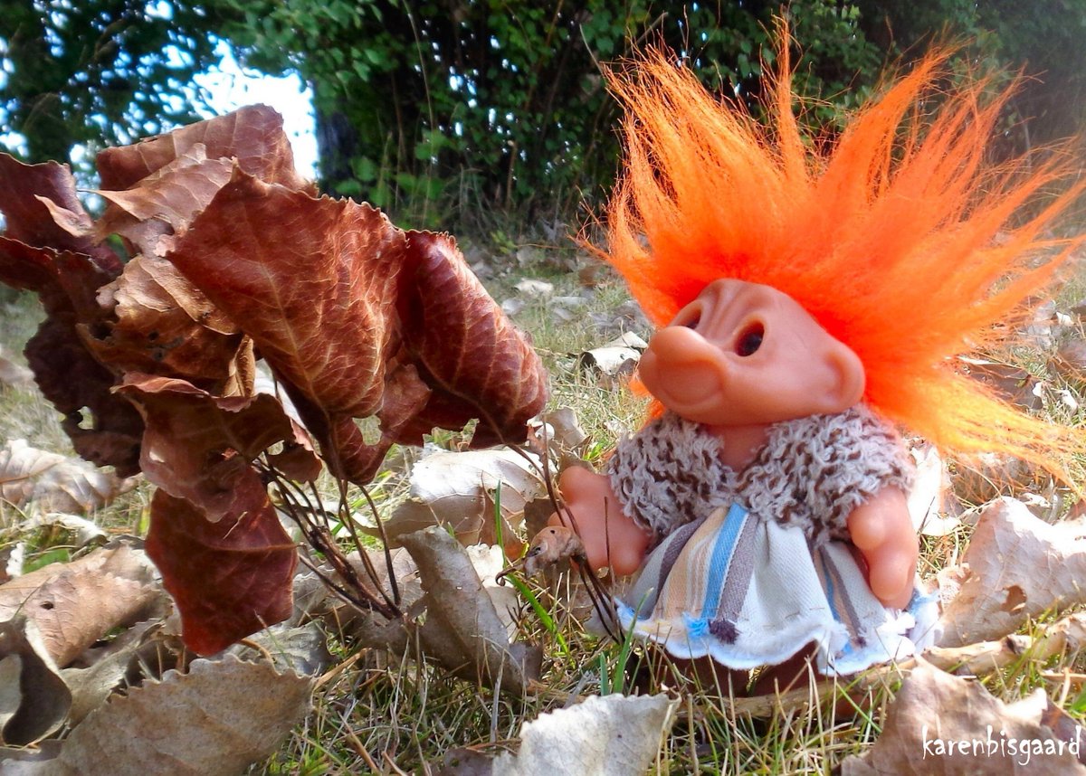 KarenBisgaard1's tweet photo. https://t.co/HXTbEb3VSP
#damtrold #gjøltrold #troll #leaves #autumn2022 #dolldisplay https://t.co/TE4FiVTlcr