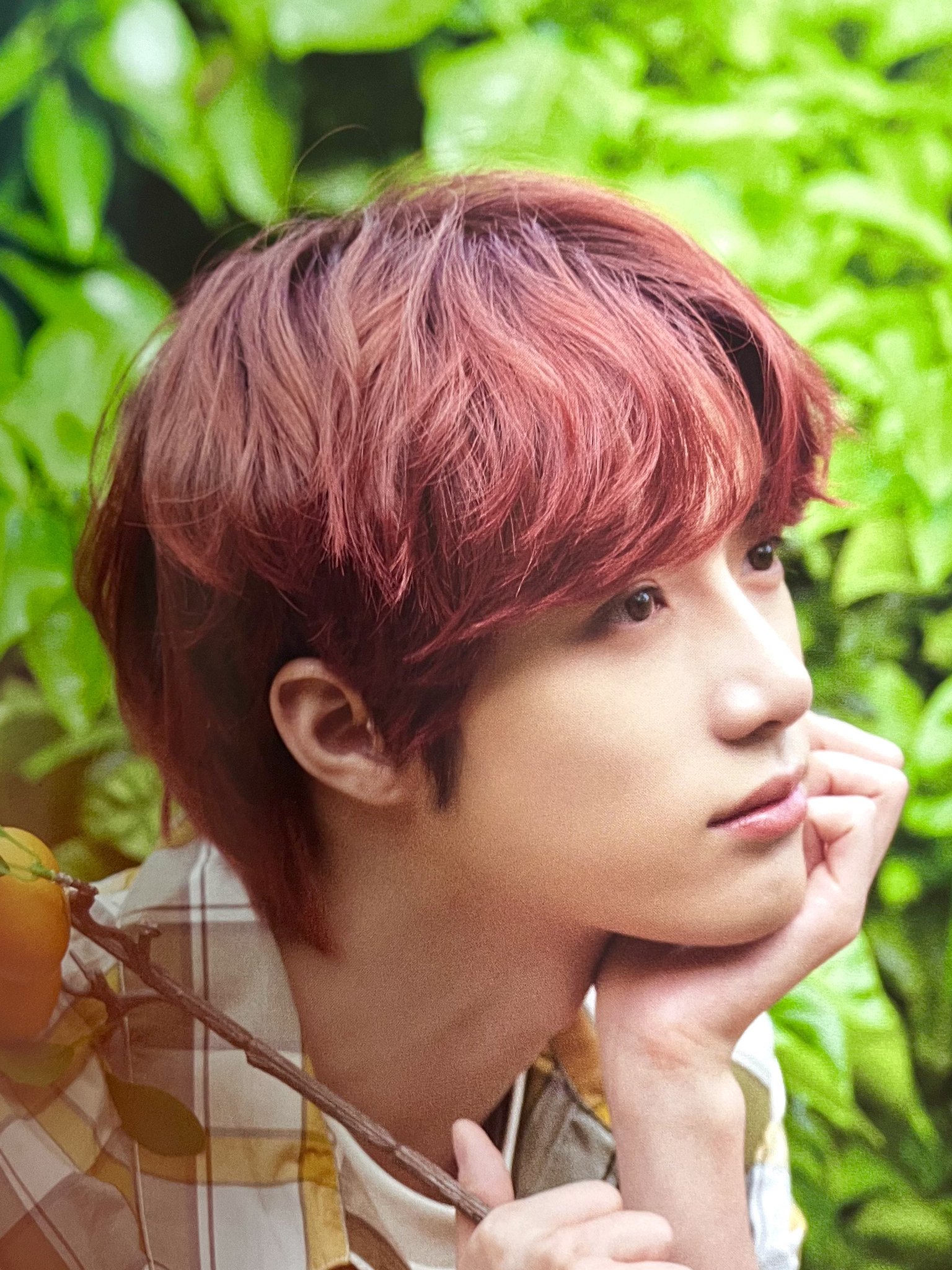 버찌 on Twitter "⑤ Tangerine Farm https//t.co/nKYaOuIfjk" / Twitter