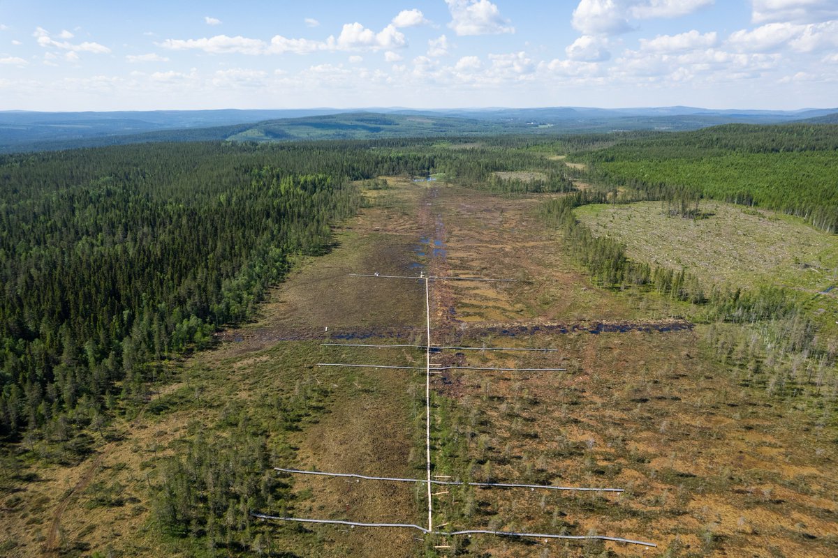 Come and get an overview of what's happening at Krycklan! Join the 19th Annual Symposium in person or virtually. September 21 = talks, 22 = field trip. It's free! slu.se/en/departments…