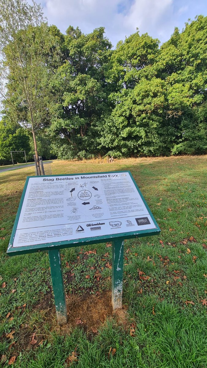 Have you noticed upright logs in <a href="/LewishamCouncil/">Lewisham Council</a>'s parks? These log pyramids have been built for stag beetles. Check out this interpretation board in <a href="/mountsfieldpark/">Mountsfield Park</a> to learn more about the UK's largest terrestrial beetle <a href="/PTES/">People's Trust for Endangered Species</a> @naturesgymlew