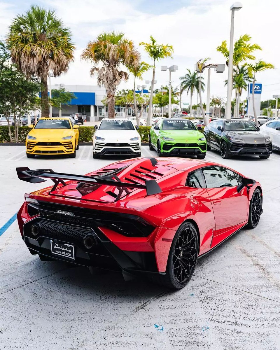 DailyExpensive's tweet photo. Lamborghini Huracan STO
#exoticcar #ride #drive #speed #horsepower #driver #sportscar #racing #vehicle #supercar #cars #tires #spoiler #envywear #road #freeway #highway #wheels #bugatti #ferrari #lamborghini #huracan #mercedesbenz #audi #porsche #rollsroyce #expensivecarsdaily https://t.co/wuYCe4MDj1