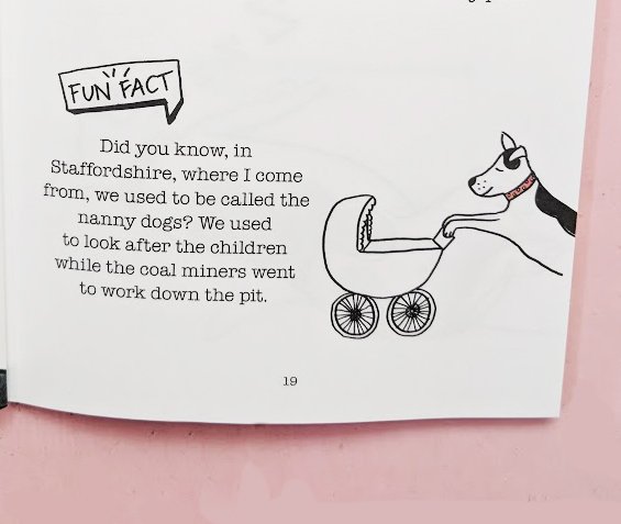 HelenMBooks's tweet photo. Fun fact Monday taken from The Tail of Mum, Dad and a dog called Rupert
#DogRescue #staffordshirebullterrier #staffierescue #debutbook #funfact #authoursoftwitter #illustratorsoftwitter https://t.co/YGy4JV6w5h