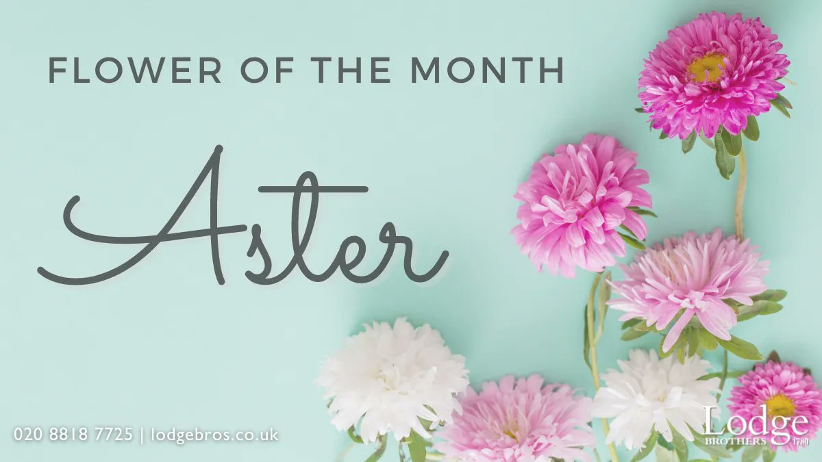 Lodge Brothers tweet media