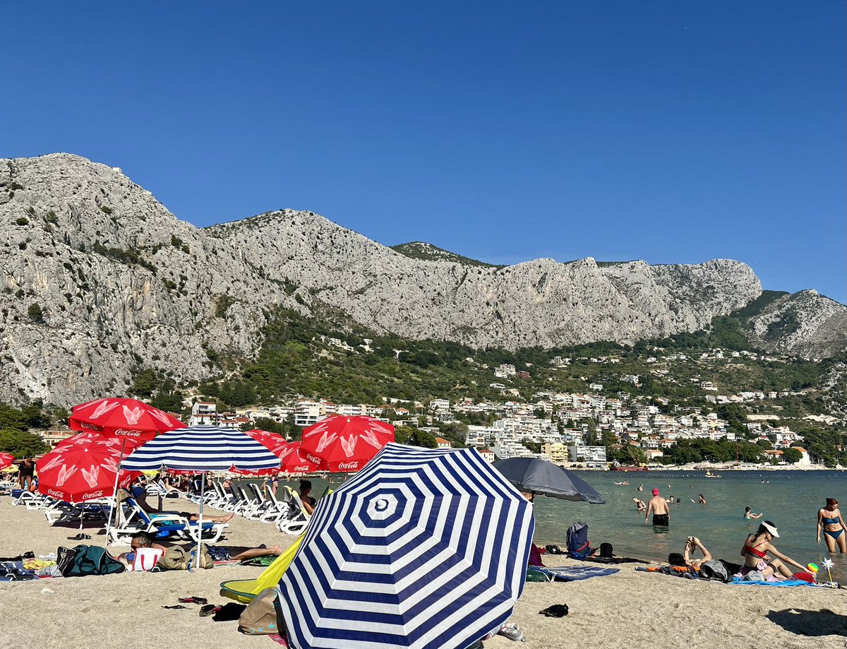 Bree Nidds tweet media