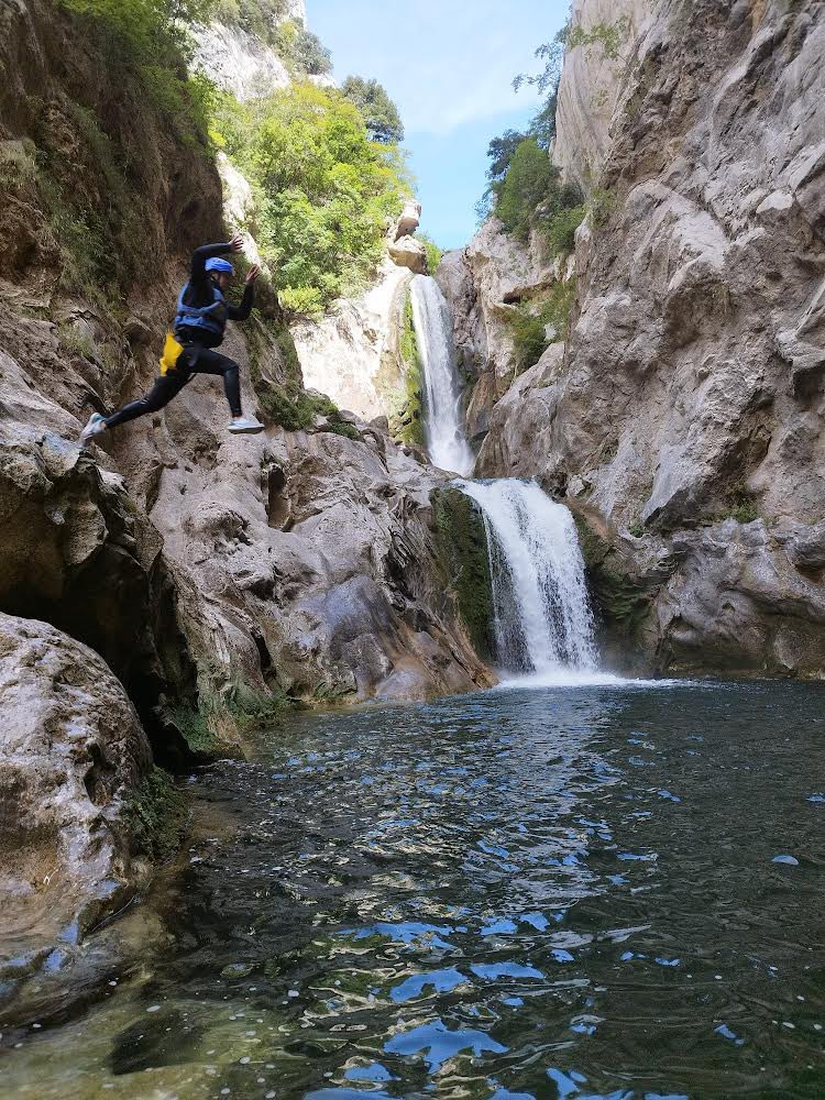 Bree Nidds tweet media