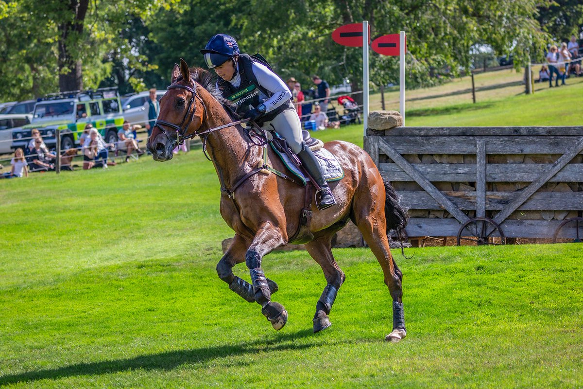 mrgaryellis's tweet photo. The Land Rover Burghley Horse Trials | Cross Country
Pippa Funnell on Billy Walk On
@pippafunnellTPT
BurghleyHorse
#LRBHT22
#eventing
#Burghley
#pippafunnell https://t.co/SdhGisT4LB