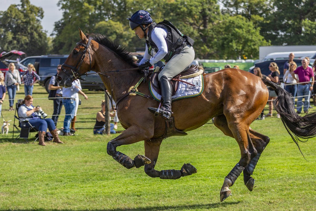 mrgaryellis's tweet photo. The Land Rover Burghley Horse Trials | Cross Country
Pippa Funnell on Billy Walk On
@pippafunnellTPT
BurghleyHorse
#LRBHT22
#eventing
#Burghley
#pippafunnell https://t.co/SdhGisT4LB