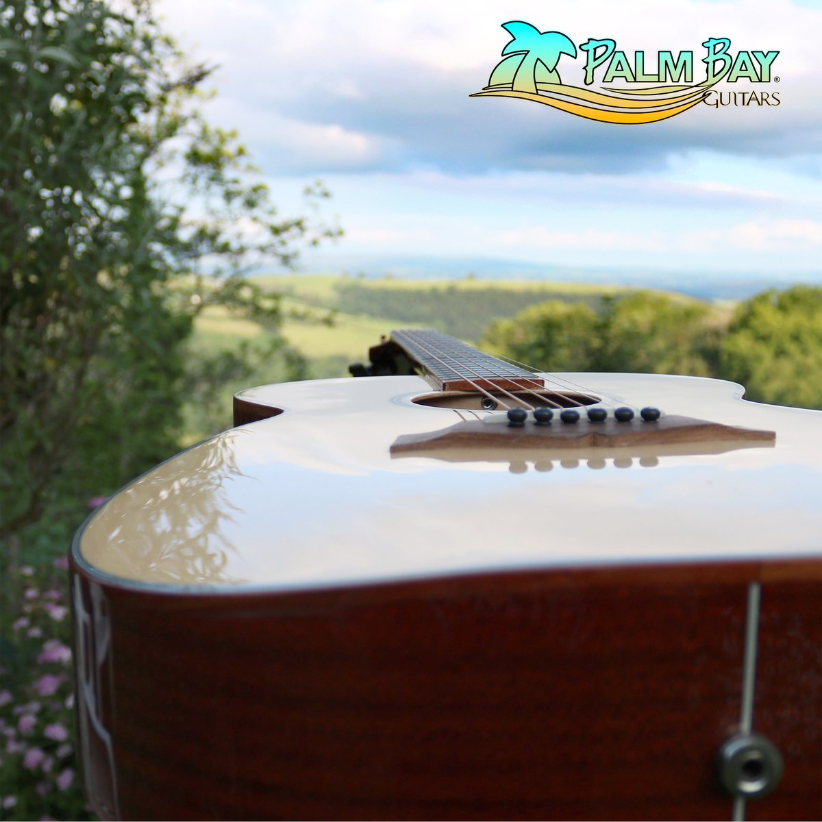PalmBayGuitars's tweet photo. Palm Bay "Arm-Heel" electro-acoustic guitars.
💥𝗟𝗔𝗦𝗧 𝟮 𝗜𝗡 𝗦𝗧𝗢𝗖𝗞💥

https://t.co/X9imQfEXCL https://t.co/kM86t1sDl1