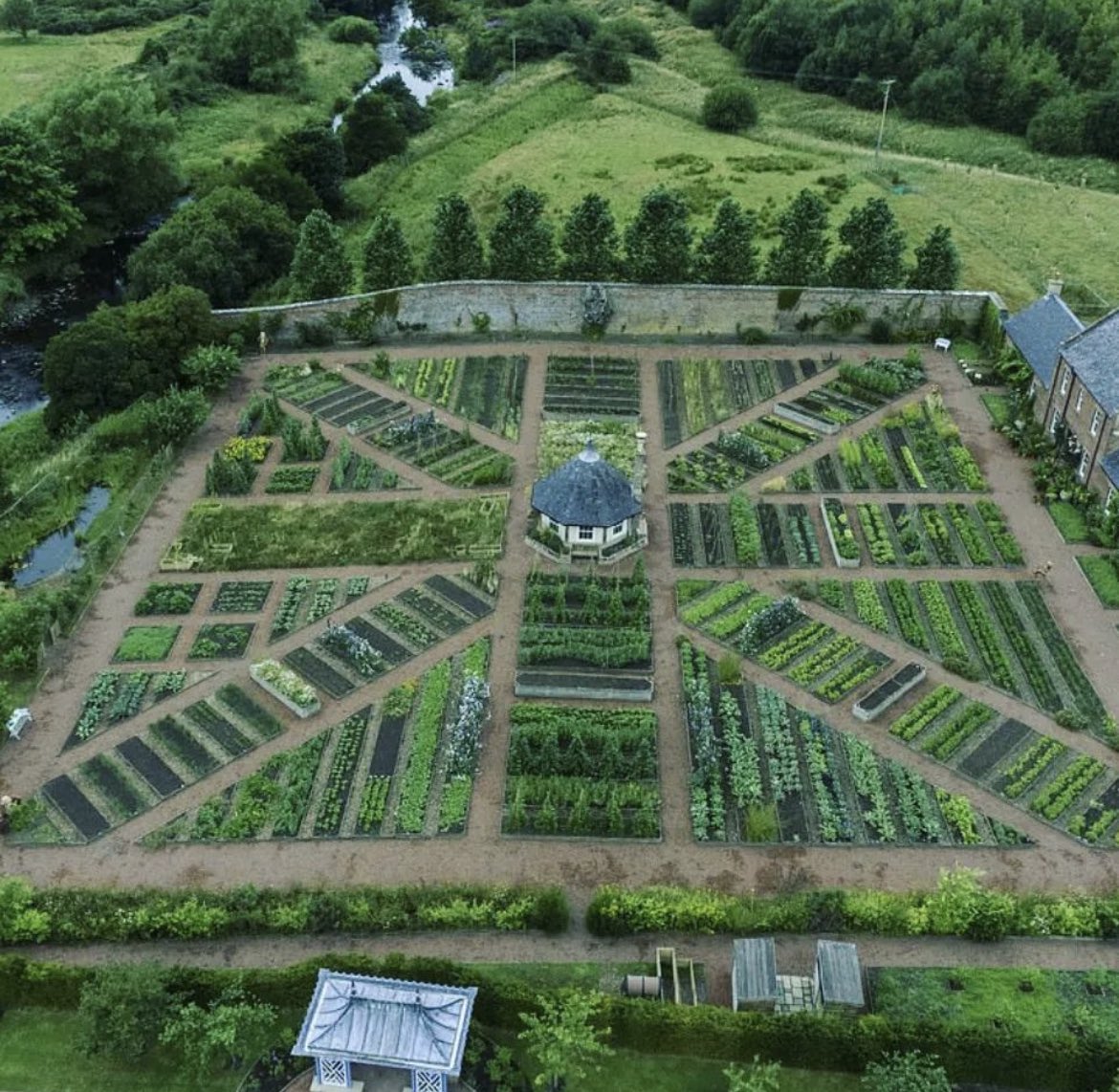 allotmentonline's tweet photo. Some Monday motivation right here. A vision of beauty π
#amazinggarden #allotmentinspo #perfectplot https://t.co/U82xJYpYXw