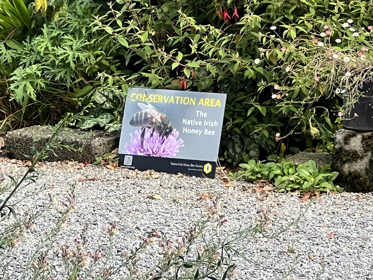 Delighted to see the sign up in <a href="/russborough/">Russborough House & Park</a> helping protect our native Irish black bee . Fantastic initiative by <a href="/nihbs/">Native Irish Honey Bee Society</a> . #conservation