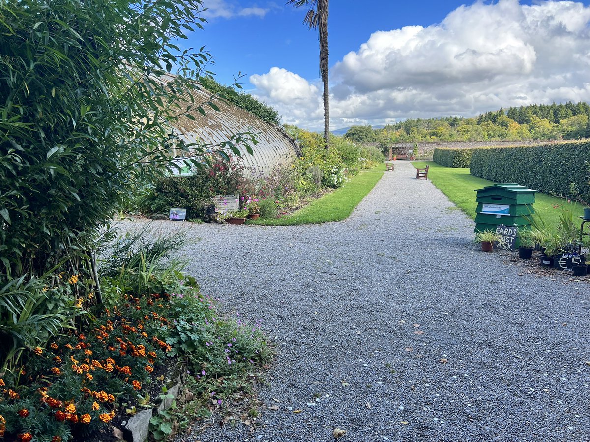 Irish BeeKeeper tweet media