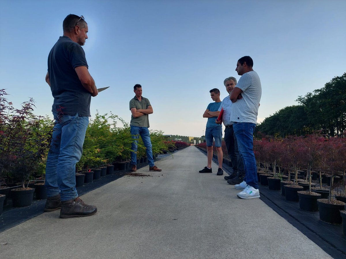 TreeportZundert's tweet photo. Deelnemende kwekers van de Zundertse innovatiekring zijn kortgeleden bijeengekomen om praktijkproeven met lokaal geteelde veenalternatieven tussentijds te bekijken.
Foto: Treeport Zundert
---
#Treeport #Zundert https://t.co/U9HW8hyFVU