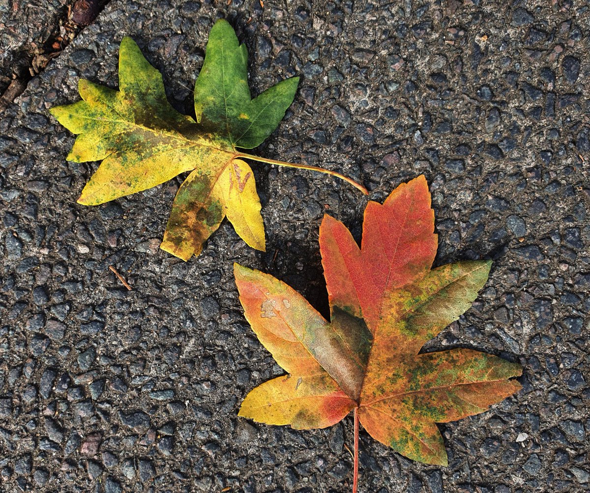 It's the first Monday of September - the real first day of the year. Time to start making things again.