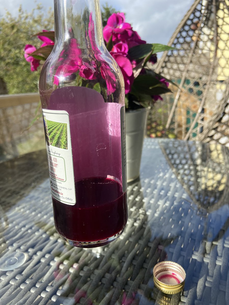 feigherysfarm's tweet photo. Monday … this is needed 🥱
@feigherysfarm Beetroot Juice 💪
#beetrootjuice #energydrink #natural #noaddedsugar #increasebloodflow #nitricoxideboost https://t.co/vqATA963Rz