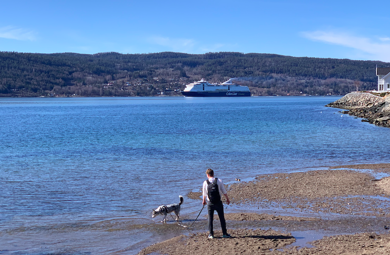 BP_Norwegen's tweet photo. Emissionsminderungen, die reduzierte Bebauung der Strandzone und ein restriktives Fischereimanagement sind notwendig, um den Oslofjord wieder gesund zu machen.©BPN

Oslo, 5. September 2022. Der Oslofjord befindet sich in einem schlechten Zustand.

https://t.co/sYsxYwjYXp https://t.co/UBvVE8Imyp