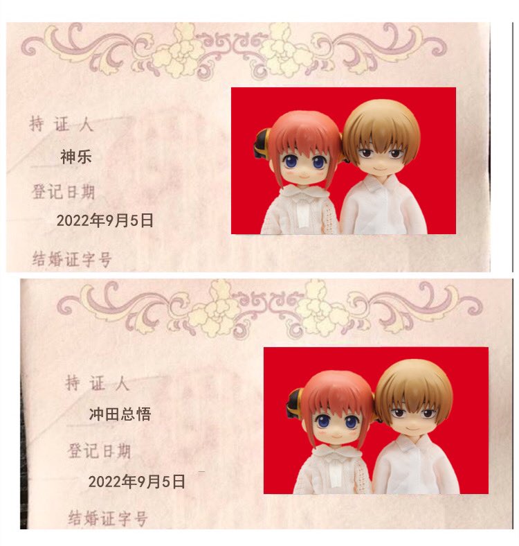 Okikagu666's tweet photo. 结婚证哈哈哈哈👩‍❤️‍💋‍👨

#9月5日は沖神の日
#沖神の日 https://t.co/MlaqLla3AZ