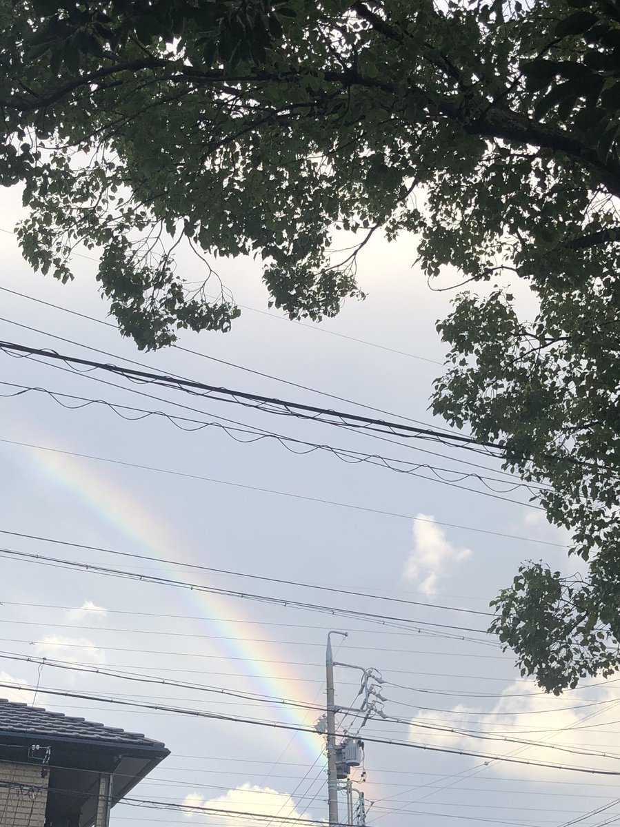 sakura_prize's tweet photo. 夕方のお散歩🐕途中、虹🌈✨ https://t.co/VCrXmV39On