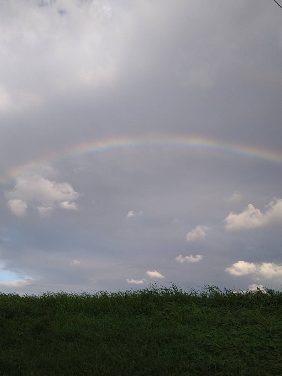 sakura_prize's tweet photo. 夕方のお散歩🐕途中、虹🌈✨ https://t.co/VCrXmV39On