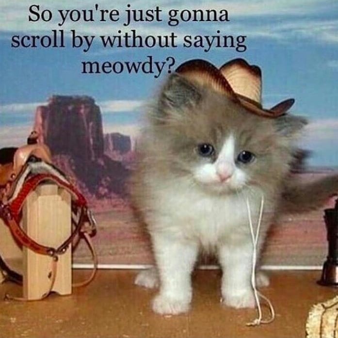 Take_Meow_Hand's tweet photo. https://t.co/603JeaQCcg