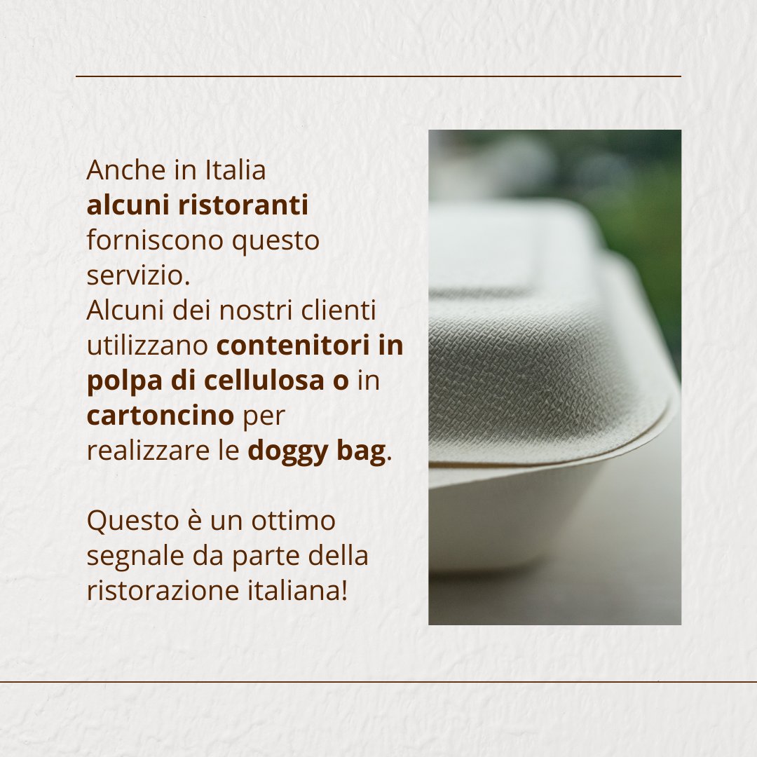 EcoBioShopping's tweet photo. 🌱 Sostenibilità non vuol dire solo diminuire la plastica. 
Anche lo #sprecoalimentare è da combattere: ogni anno circa 1,3 miliardi di tonnellate di cibo commestibile vengono buttati tra Europa e Stati Uniti 😱
Dalla Spagna arriva la svolta: dal 2023 #doggybag obbligatoria! https://t.co/P7UKSzYVYD