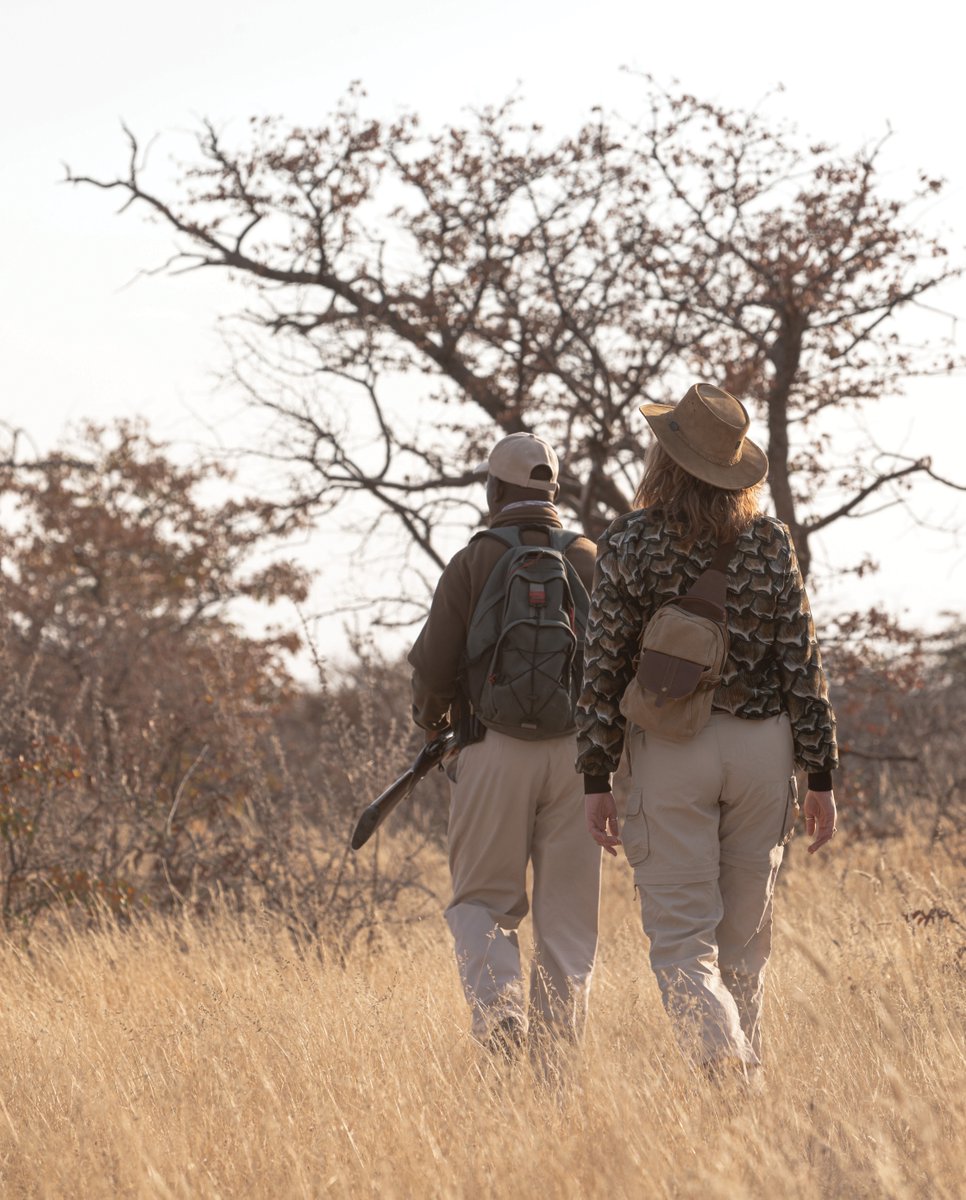 OngavaLodge's tweet photo. A walk on the wild side...
At Ongava we tread lightly and listen to nature. A nature walk with one of our experienced and well-trained guides is one of the very best ways to discover the wonders of the wild. Up close!
#ongava #wildlife #safari #listentonature https://t.co/r3H4OjqFO5