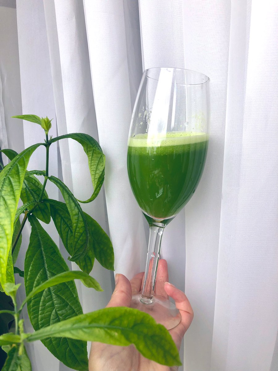 Happy Monday dear #NFTCommunity !

Have a juicy week!💓

Try to guess what is in my glass!😎