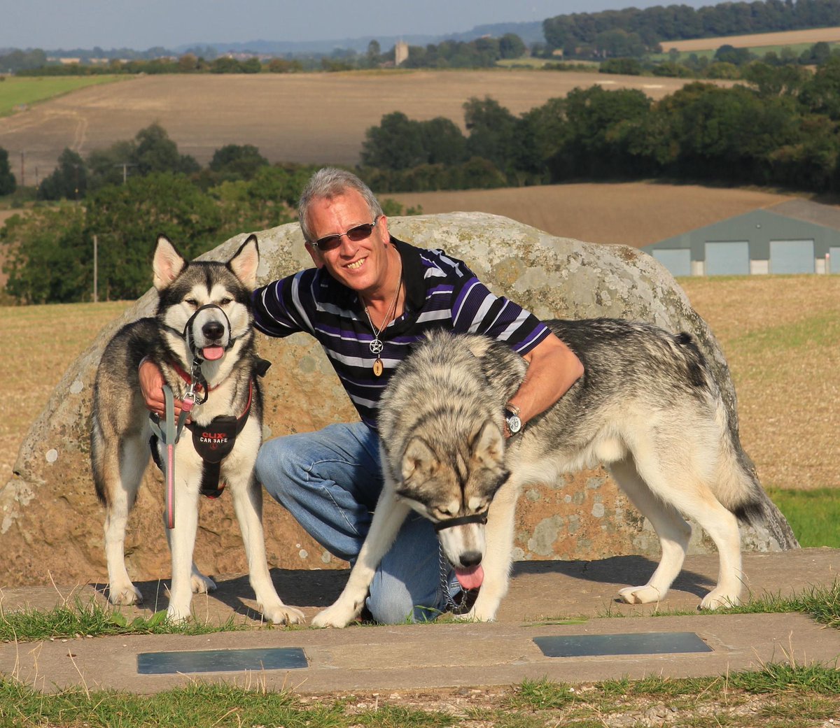 Mounts & More tweet media