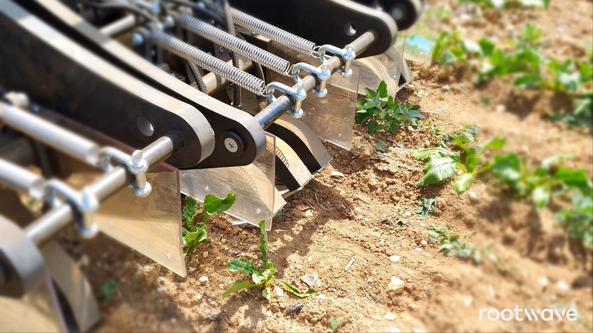 RootWave's tweet photo. Independent field trials of RootWave Volta:
⚖️ Independent trials in maize and sugar beet
⚡️ Patented high-frequency technology
🌱 Excellent control of weeds using electricity
Read more: https://t.co/bdC3jxa2dj
#RootWave #ZapsWeedsZeroChemicals https://t.co/yaxJsE0HtH
