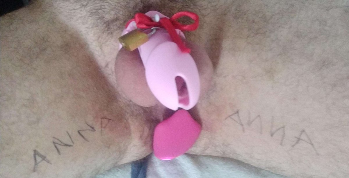 MaitresseAnna56's tweet photo. @Sissycatherina , enfin encagée !
#chasteté #sissyslut #sissytraining #sissyencage #dominatrice #frenchdominatrix https://t.co/fmHp7y8dhI